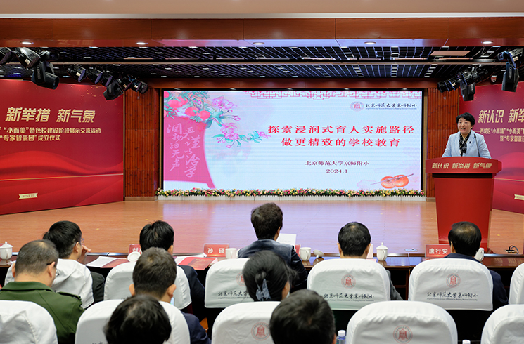 北京西城区成立“小而精”“小而美”项目“专家智囊团”