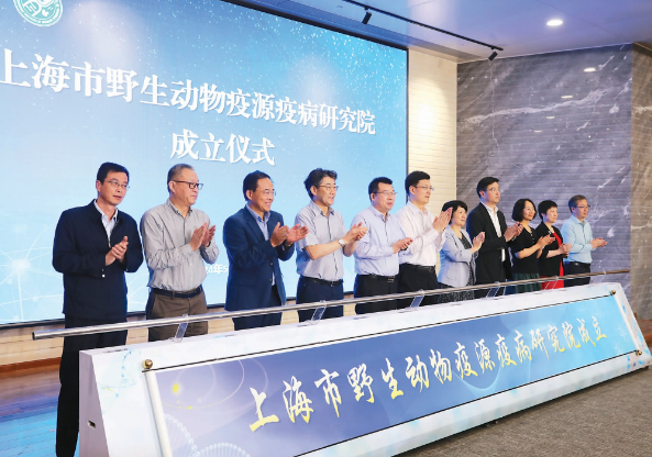华东师大2024年度理工科科研盘点