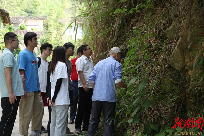 湖南师大“岩出必行”调研团队赴桂东县实地考察中药材